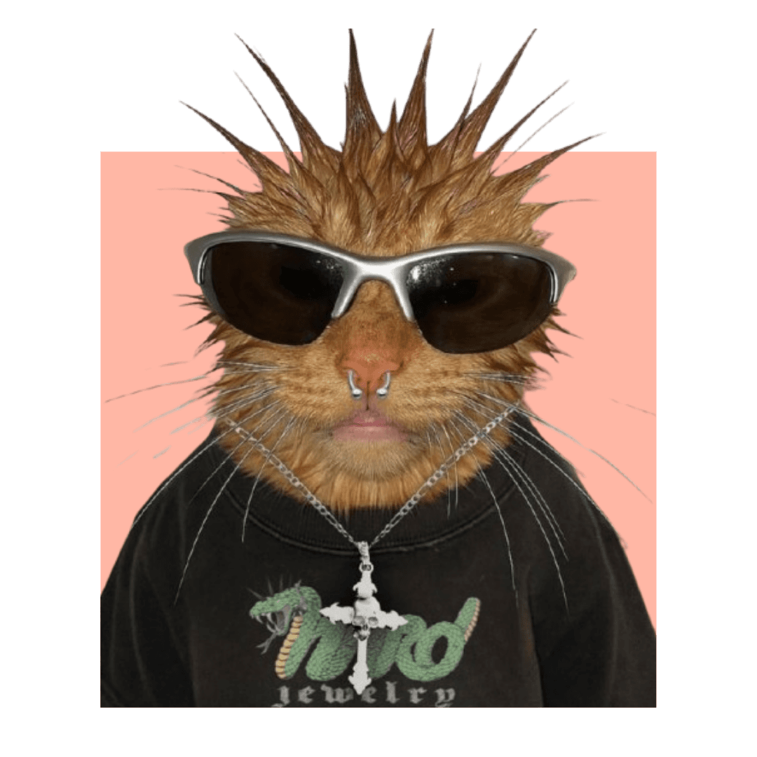 Animal Intelligence & Behavior