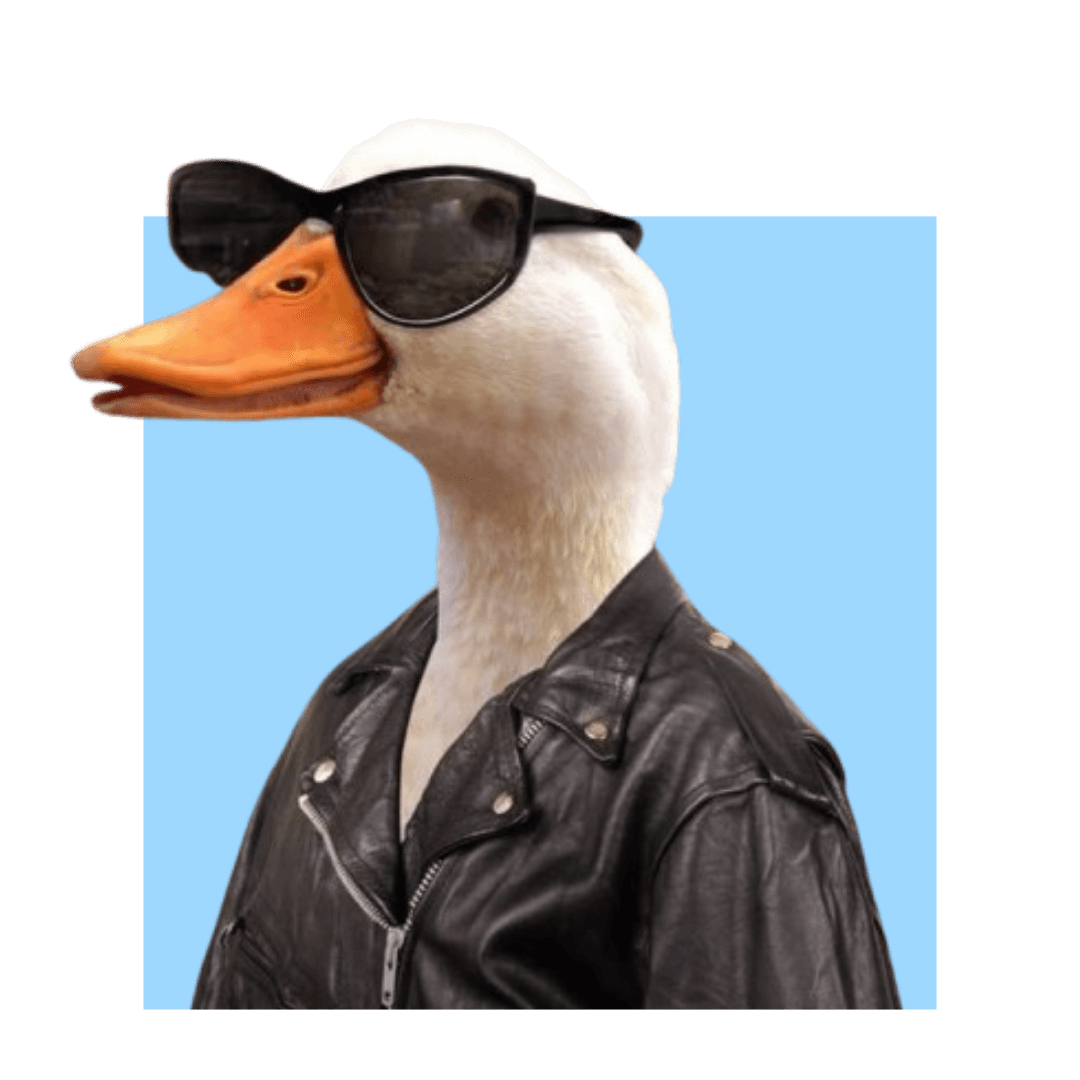 Animals in Human Spaces