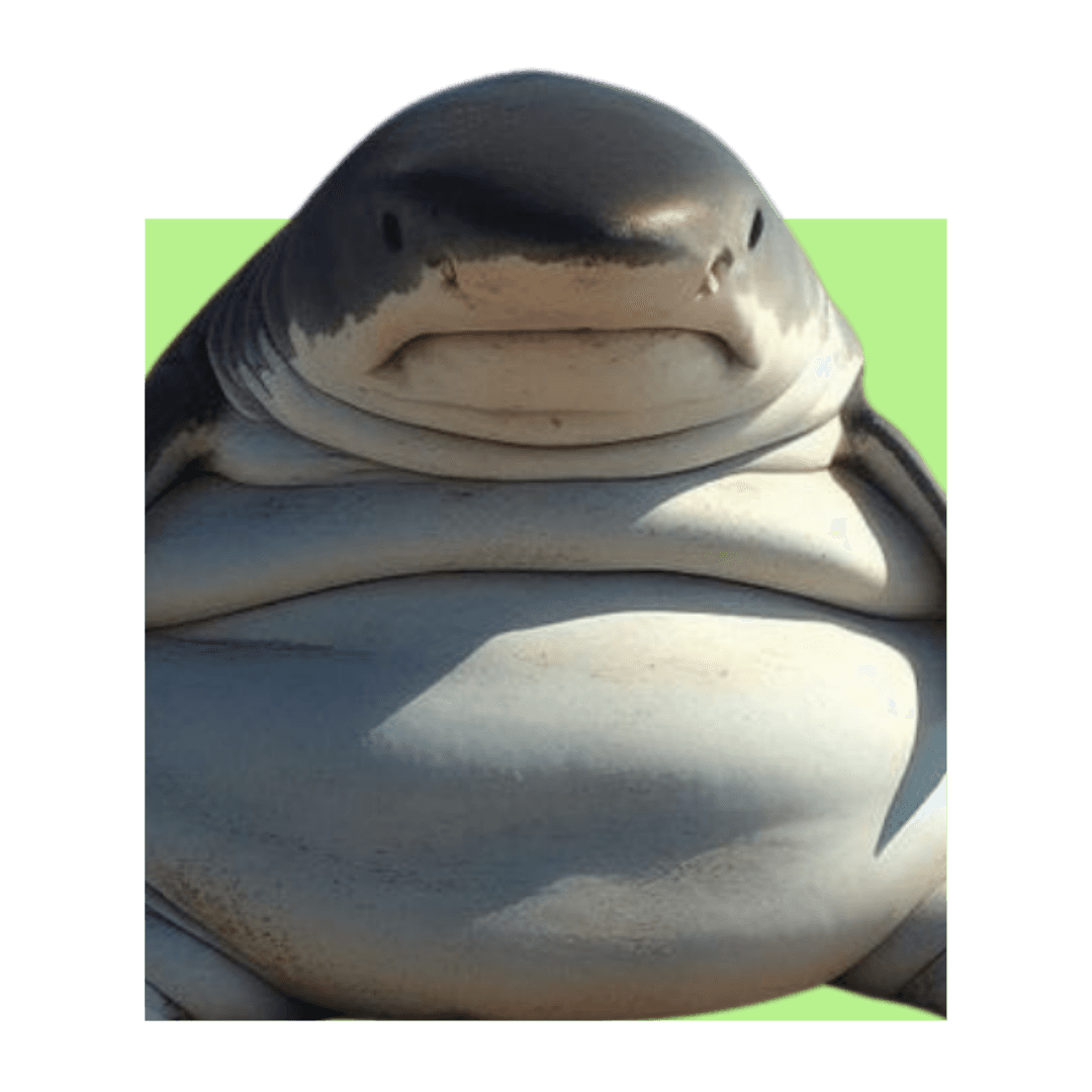 Conservation & Endangered Species