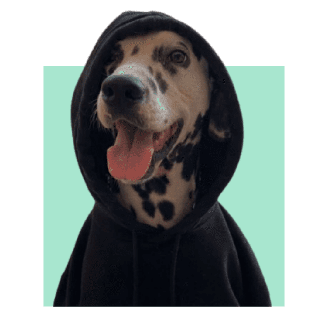 Fascinating & Unusual Facts