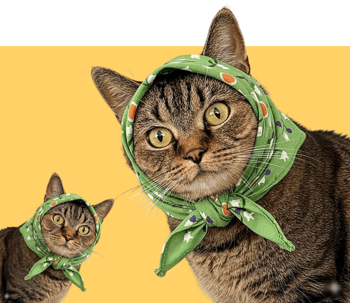 Why We Talk to Pets Like They’re Family