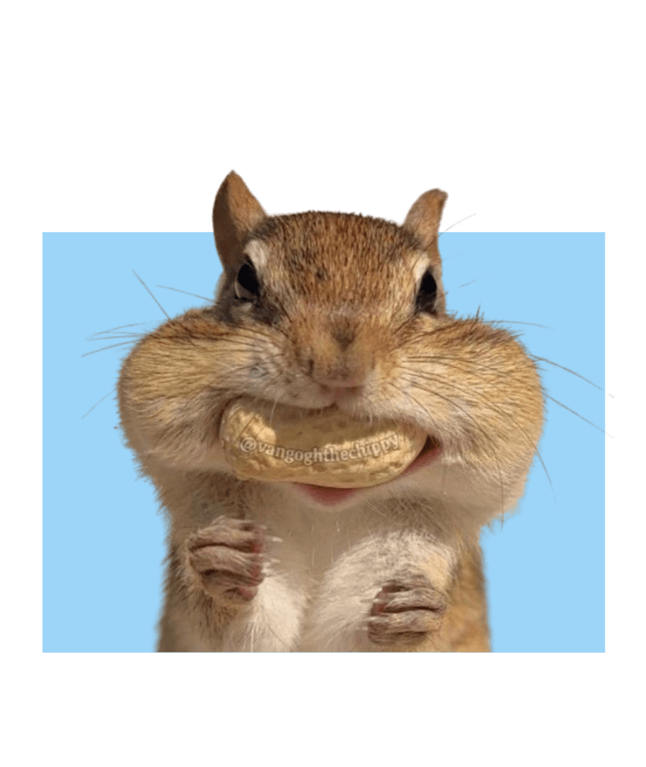 The Human Guilt of Walking Past Hungry Animals