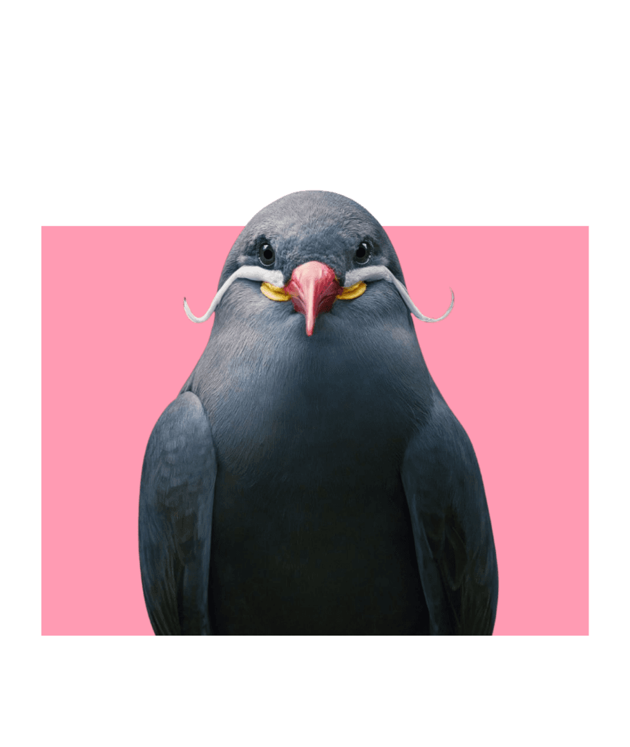 Can Pets Tell When You’re Sick or Sad?