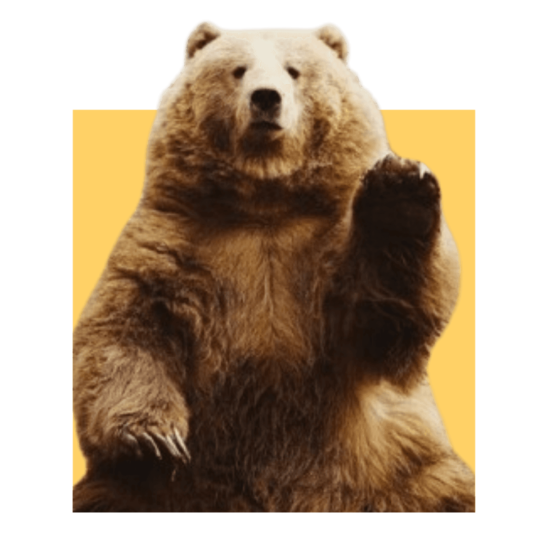 Rescue & Heartwarming Stories